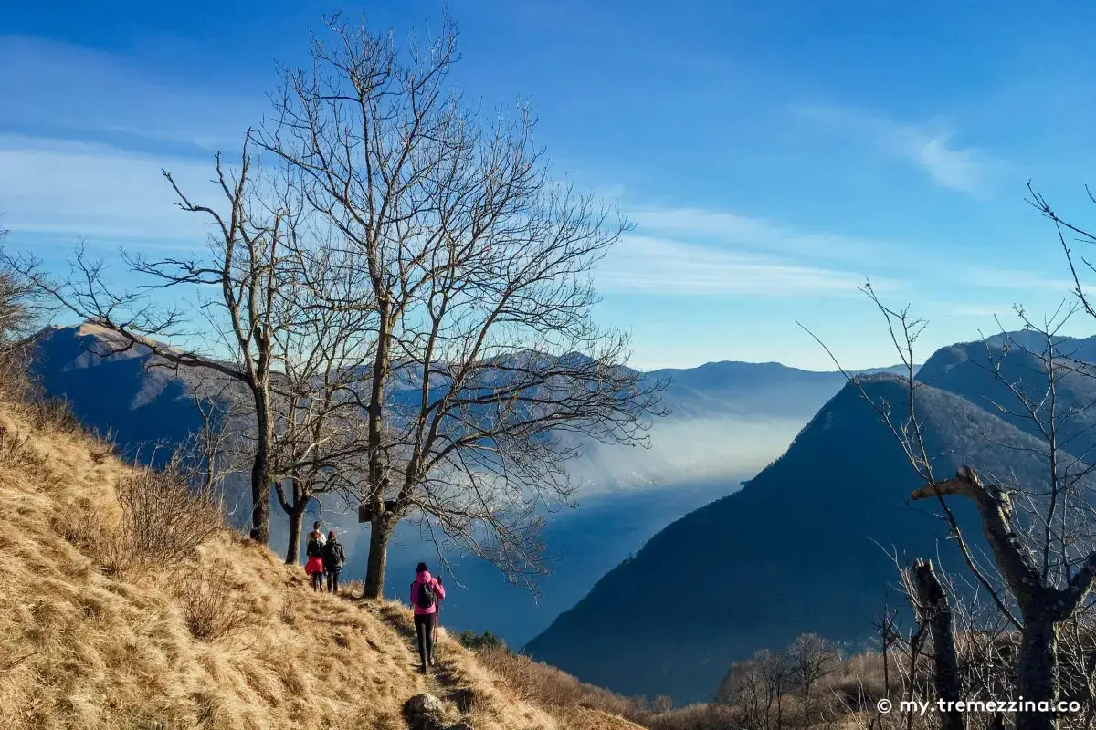 Passeggiata Pigra - Alpe di Blessagno