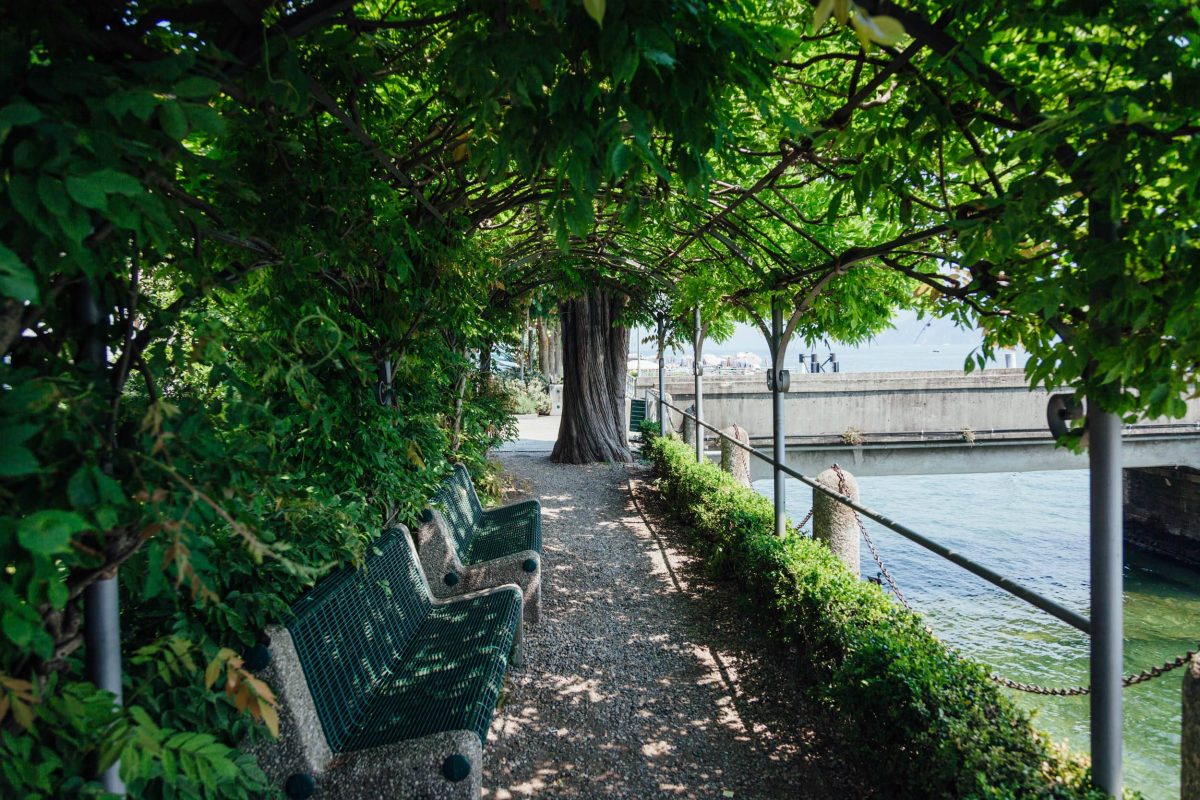 Greenway Lago di Como - Griante