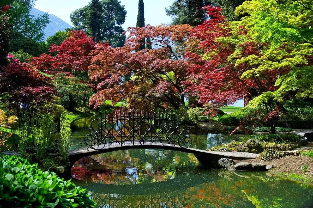 Giardini di Villa Melzi - Autunno